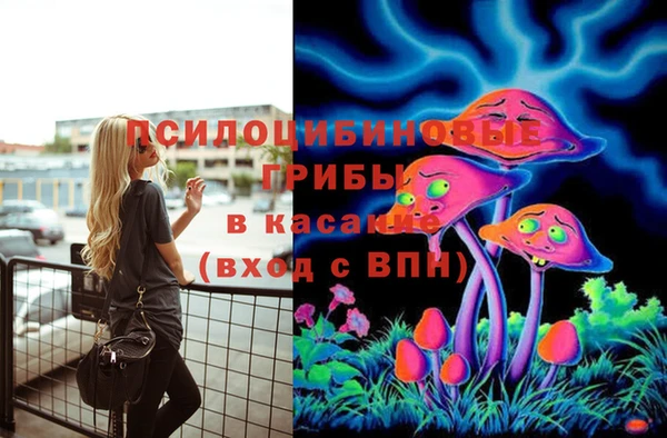 винт Бронницы